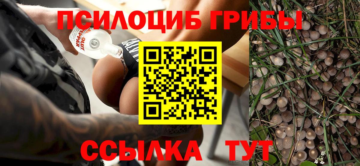 Галлюциногенные грибы GOLDEN TEACHER Новоуральск