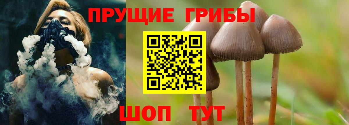 Новоуральск  закладка  Вход с VPN  Галлюциногенные грибы прущие грибы 